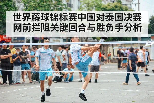 sepak takraw net block